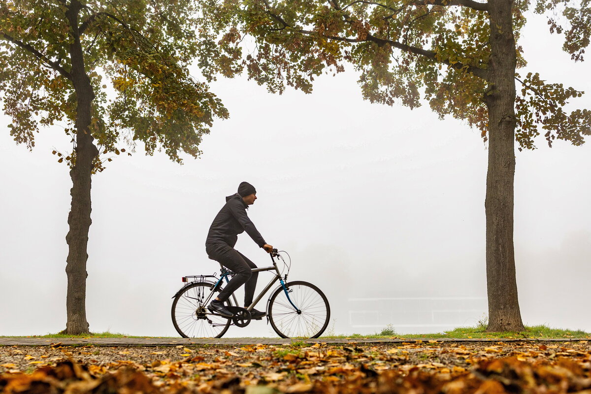 The Betting Biker: Navigating the Intricacies of Motorcyclist Strengths and Weaknesses