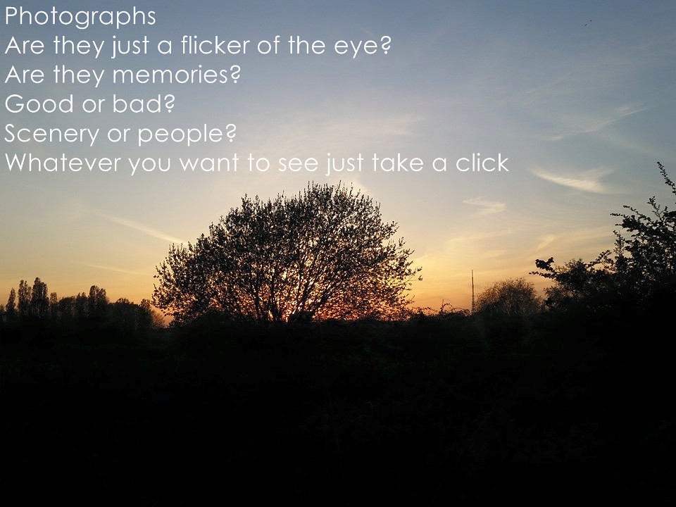 Laugh, Learn, and Connect with QuotePoem 22 Laugh, Learn, and Connect with QuotePoem 22